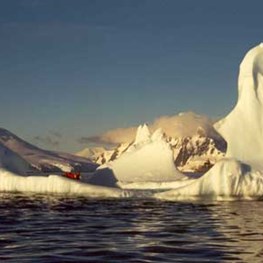 Barnaby B. Bear: Antarctic Peninsula