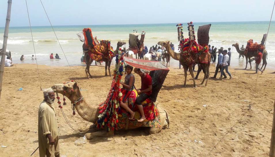 A Family Picnic at Turtle Beach Karachi