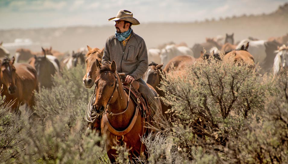 Recognizing the Cowboy, Preserving a Legacy