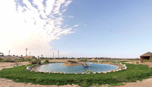 Abqaiq Nature Reserve is First of its Kind in Eastern Province