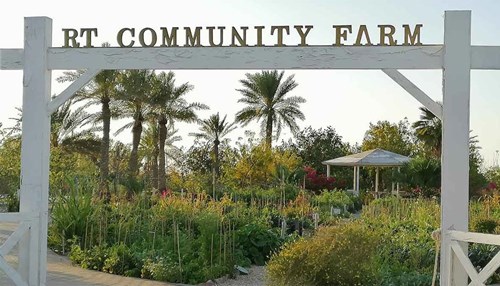 A Flourishing Community Farm in Ras Tanura