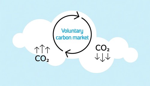 How Does the Voluntary Carbon Market Help Us Move Toward Decarbonization?