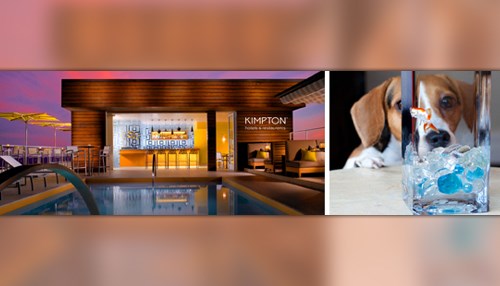 Finding a Home on the Road for Fido and Muffy