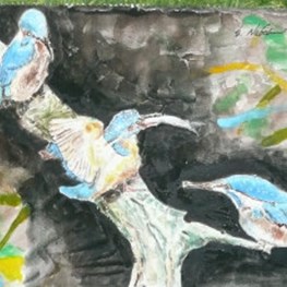Paintings of Birds by Eiichi Nakamura