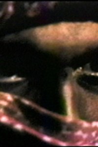 John R. Jones